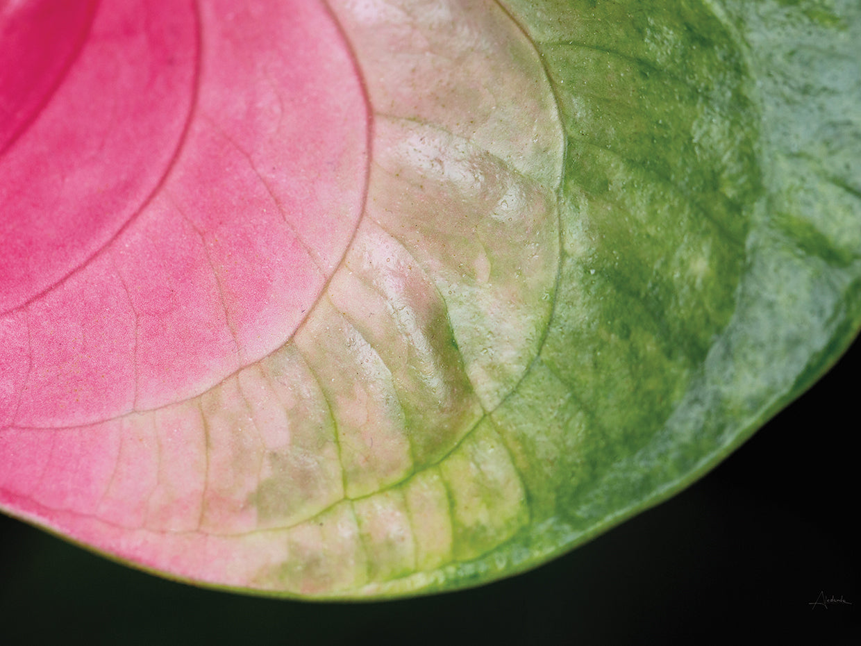 Pink and Green