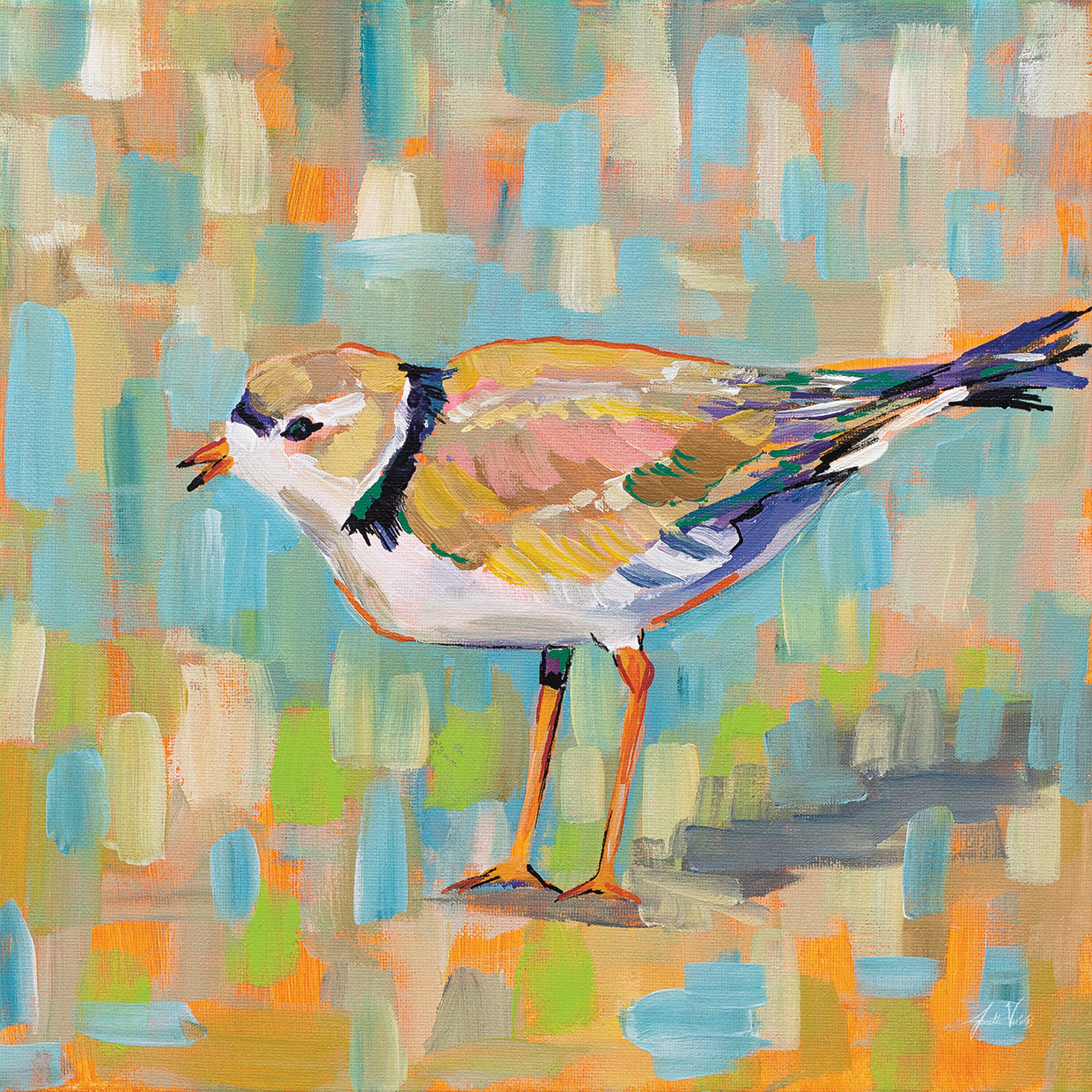 Coastal Plover IV by Jeanette Vertentes - highest quality handcrafted wall art work on large canvas & framed canvas prints