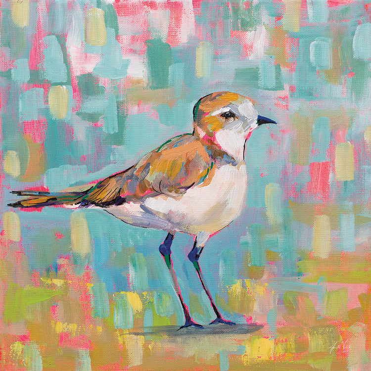 Coastal Plover III by Jeanette Vertentes - lowest price wall art work on large canvas & framed canvas prints