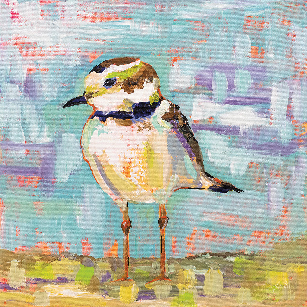 Coastal Plover II by Jeanette Vertentes - handcrafted wall art work on large canvas & framed canvas prints, made to order