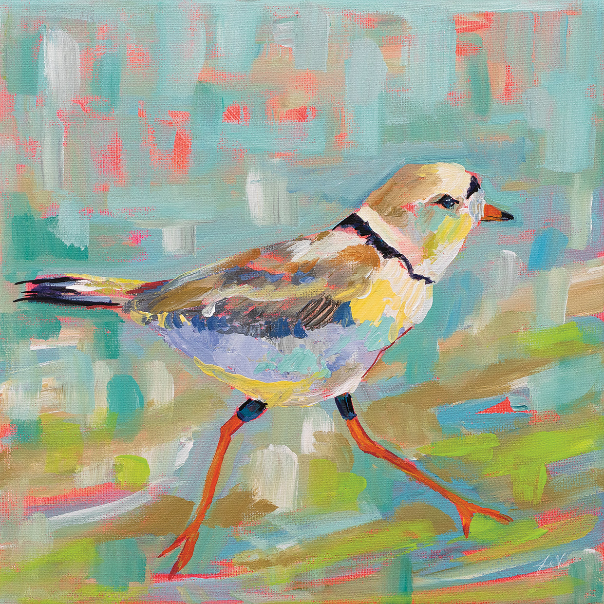 Coastal Plover I by Jeanette Vertentes - larger sizes handcrafted wall art work on large canvas & framed canvas prints
