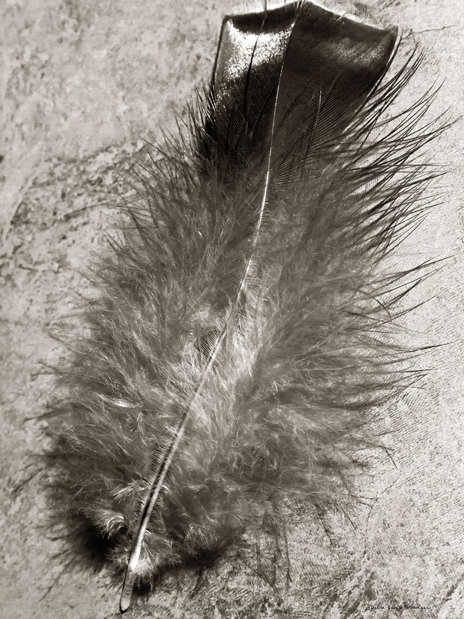 Feather Shadow IV