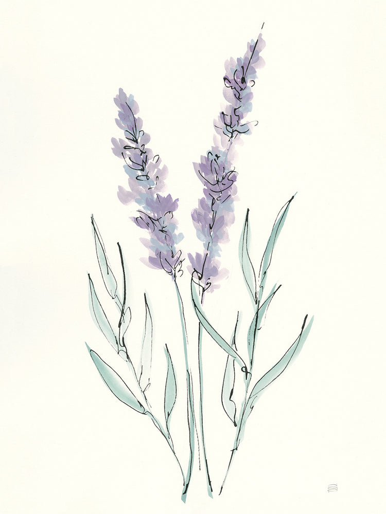 Lavender III