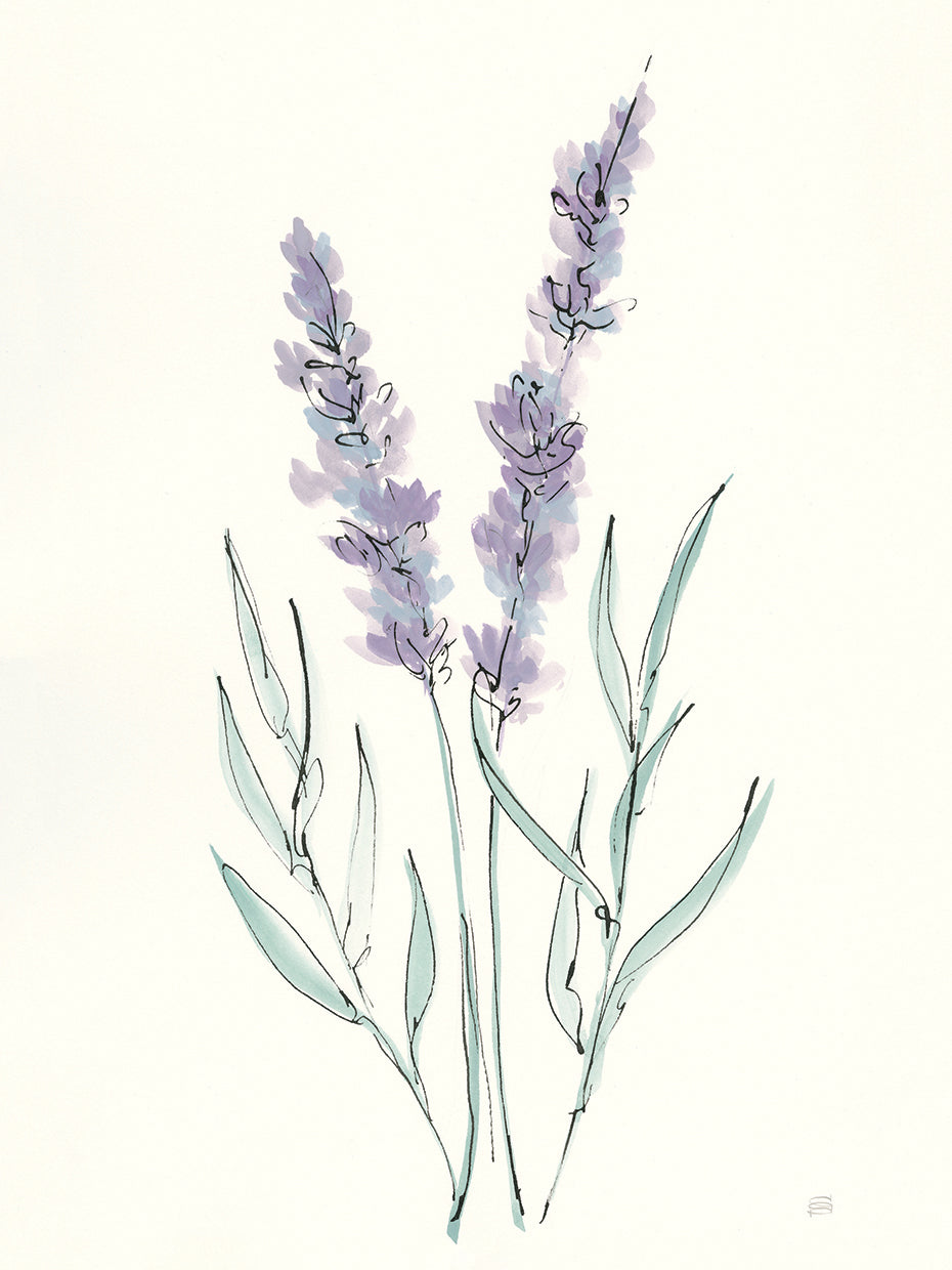 Lavender III