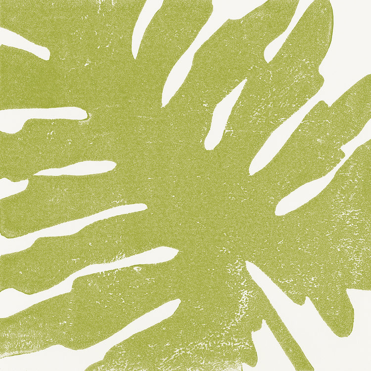 Tropical Treasures IV by Moira Hershey - highest quality handcrafted wall art work on large canvas & framed canvas prints