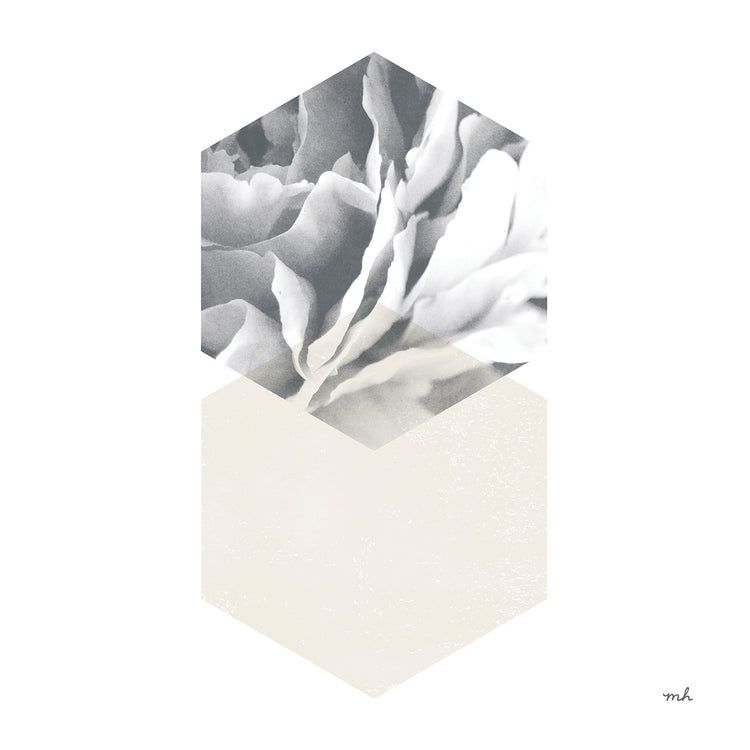 Blossoms IV by Moira Hershey - top quality wall art work on large canvas & framed canvas prints