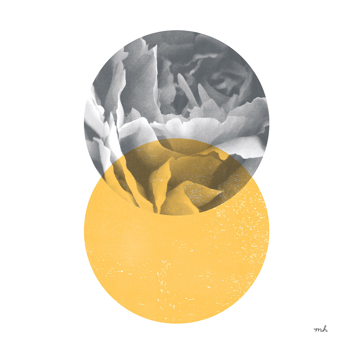 Blossoms I by Moira Hershey - highest quality handcrafted wall art work on large canvas & framed canvas prints