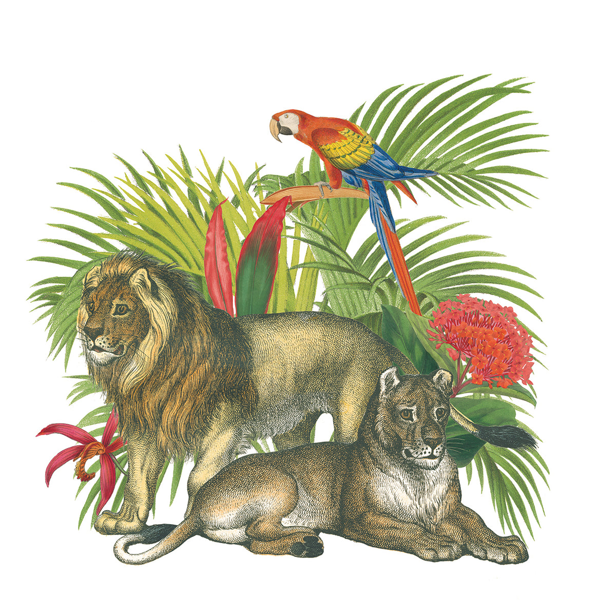 In the Jungle II