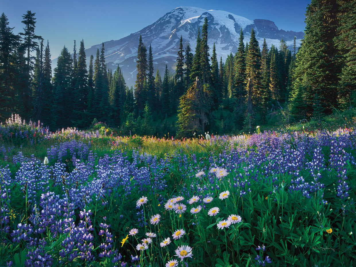 Mount Rainier