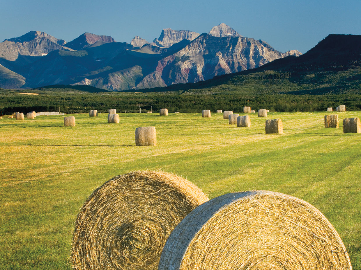 Waterton Hay Bales