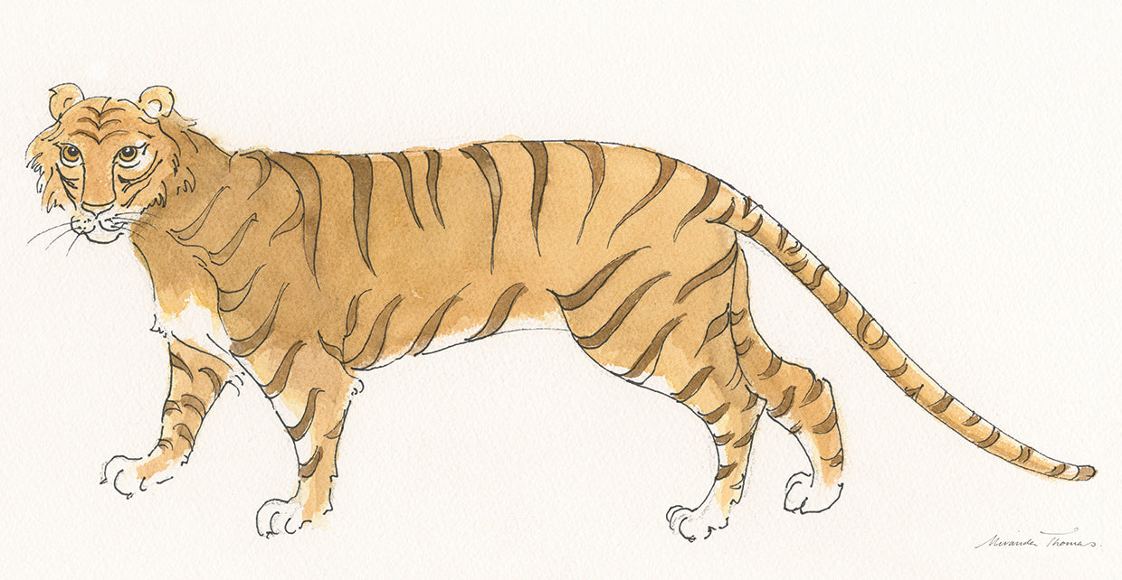 Grandes felinos I Arte de la lona
