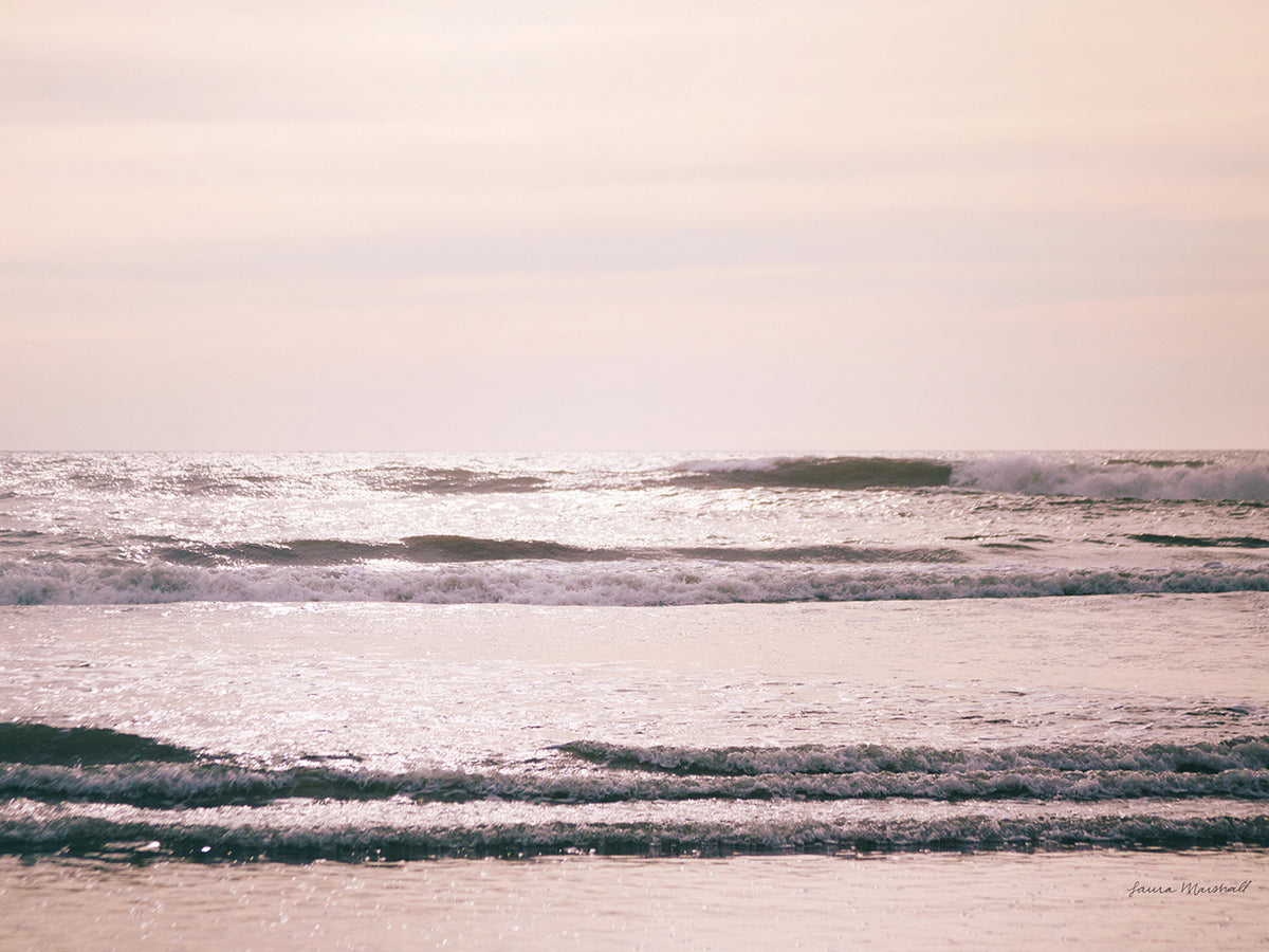 Kalaloch Coast II
