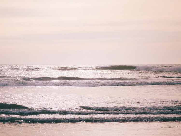 Arte de la lona de la costa de Kalaloch II