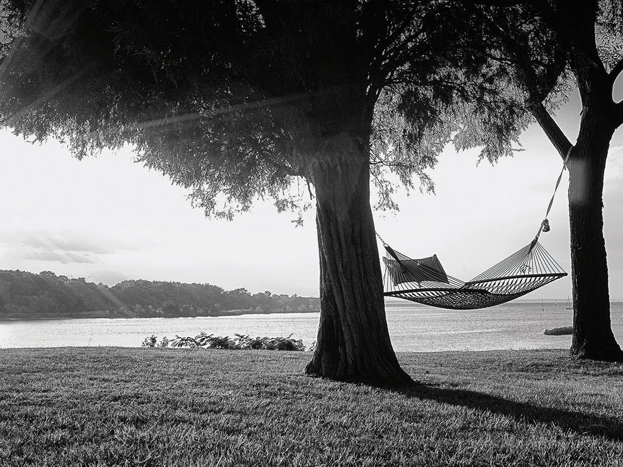 Summer Reprise