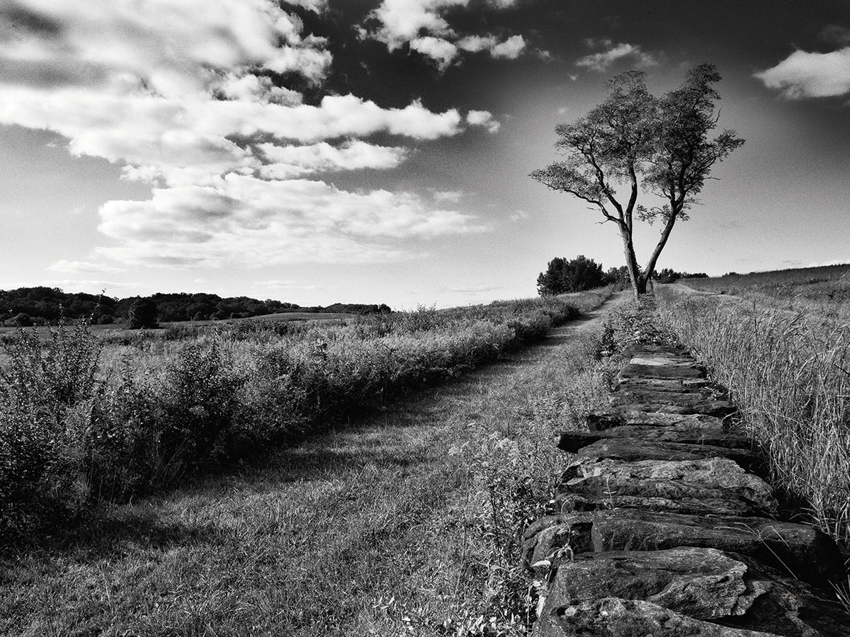 Stone Wall