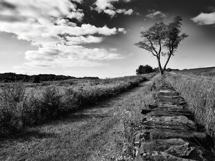 Stone Wall