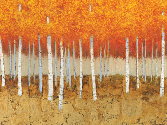 Autumn Birches Canvas Prints