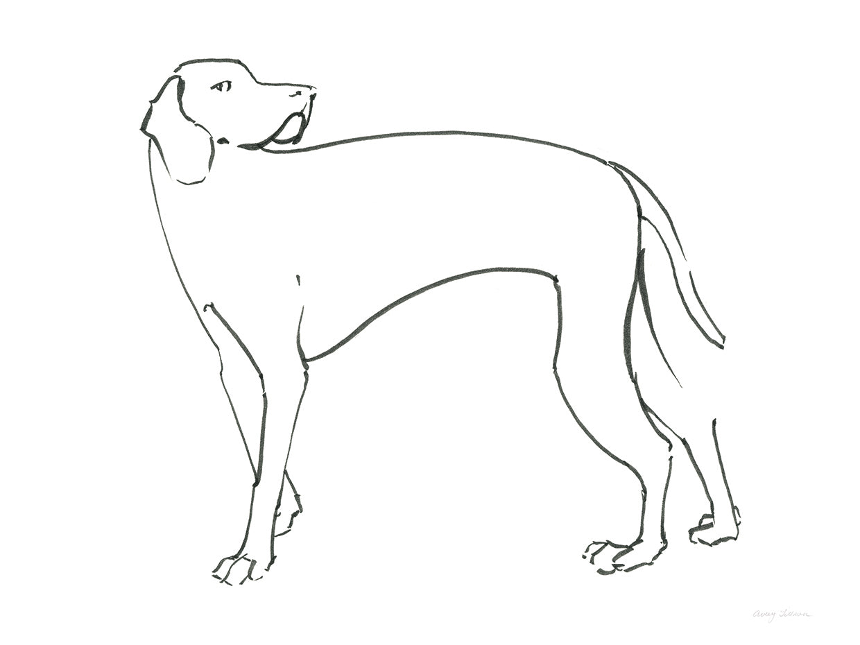 Ink Dog V