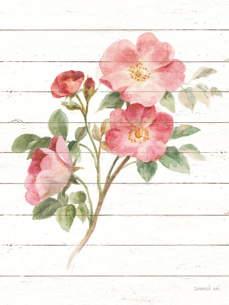 Sprigs of Summer II by Danhui Nai - museum quality wall art work on large canvas & framed canvas prints