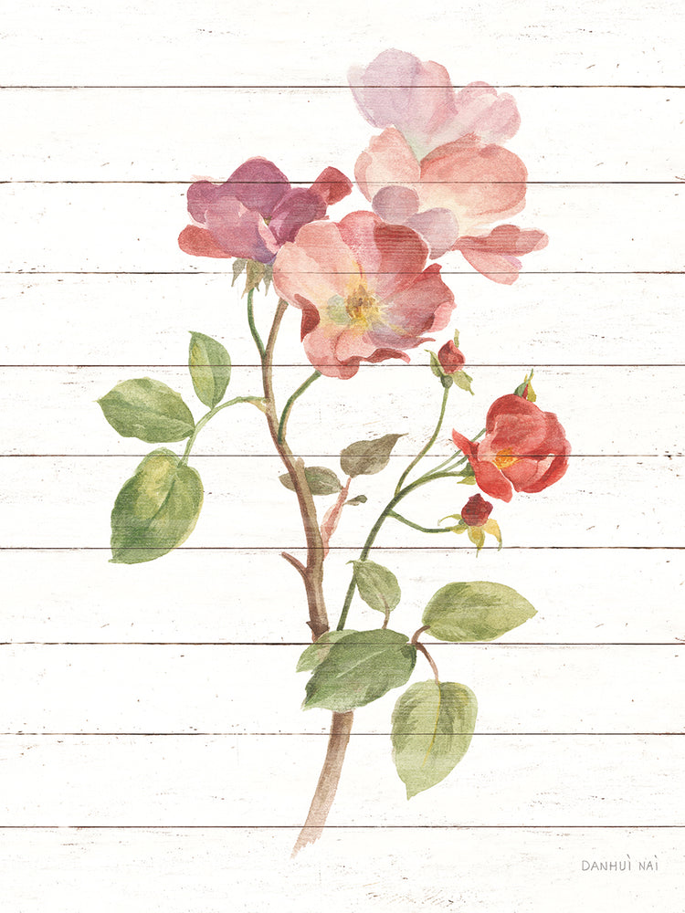 Sprigs of Summer I by Danhui Nai - highest quality handcrafted wall art work on large canvas & framed canvas prints