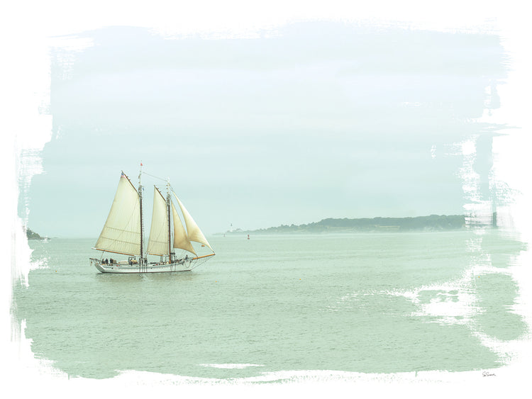 Sailing on the Bay