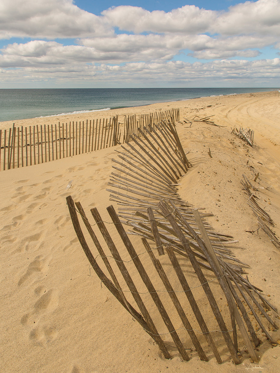 Beach Dunes II