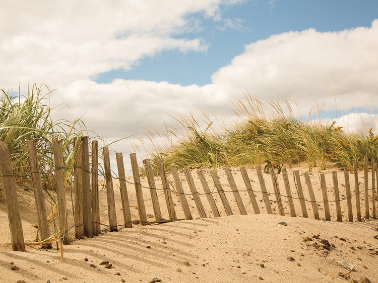 Playa Dunas I Lienzo