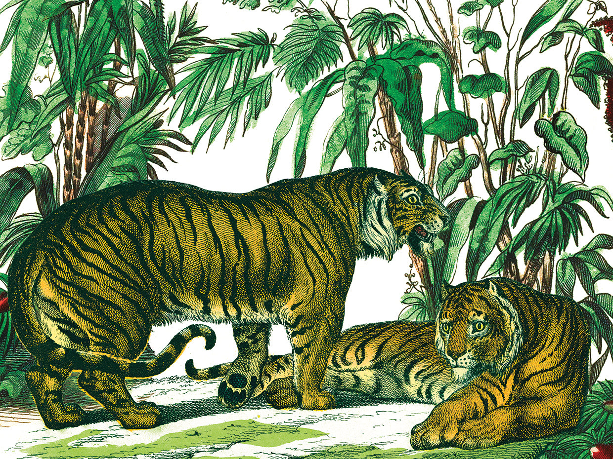 Jungle Flair V