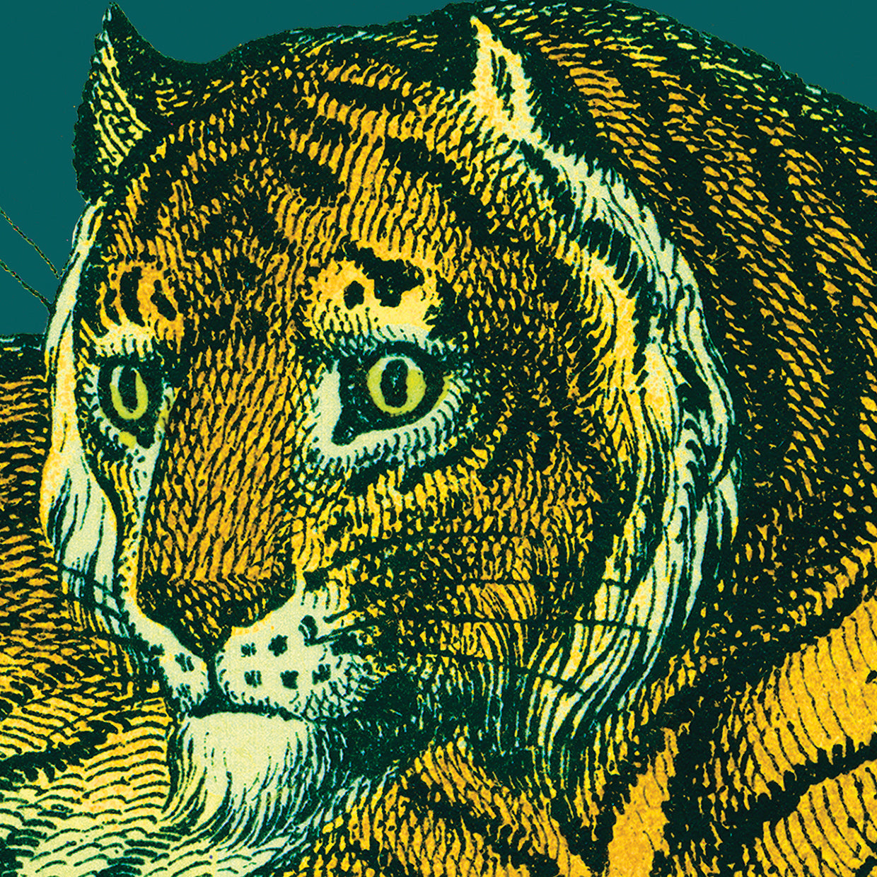 Jungle Flair II