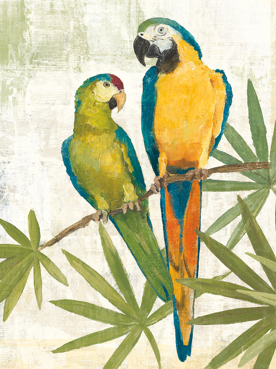 Birds of a Feather III