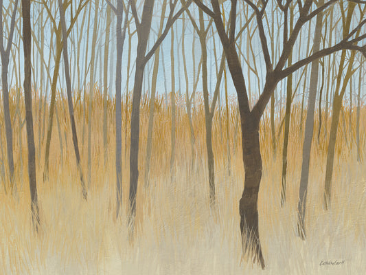 Misty Woods Canvas Art