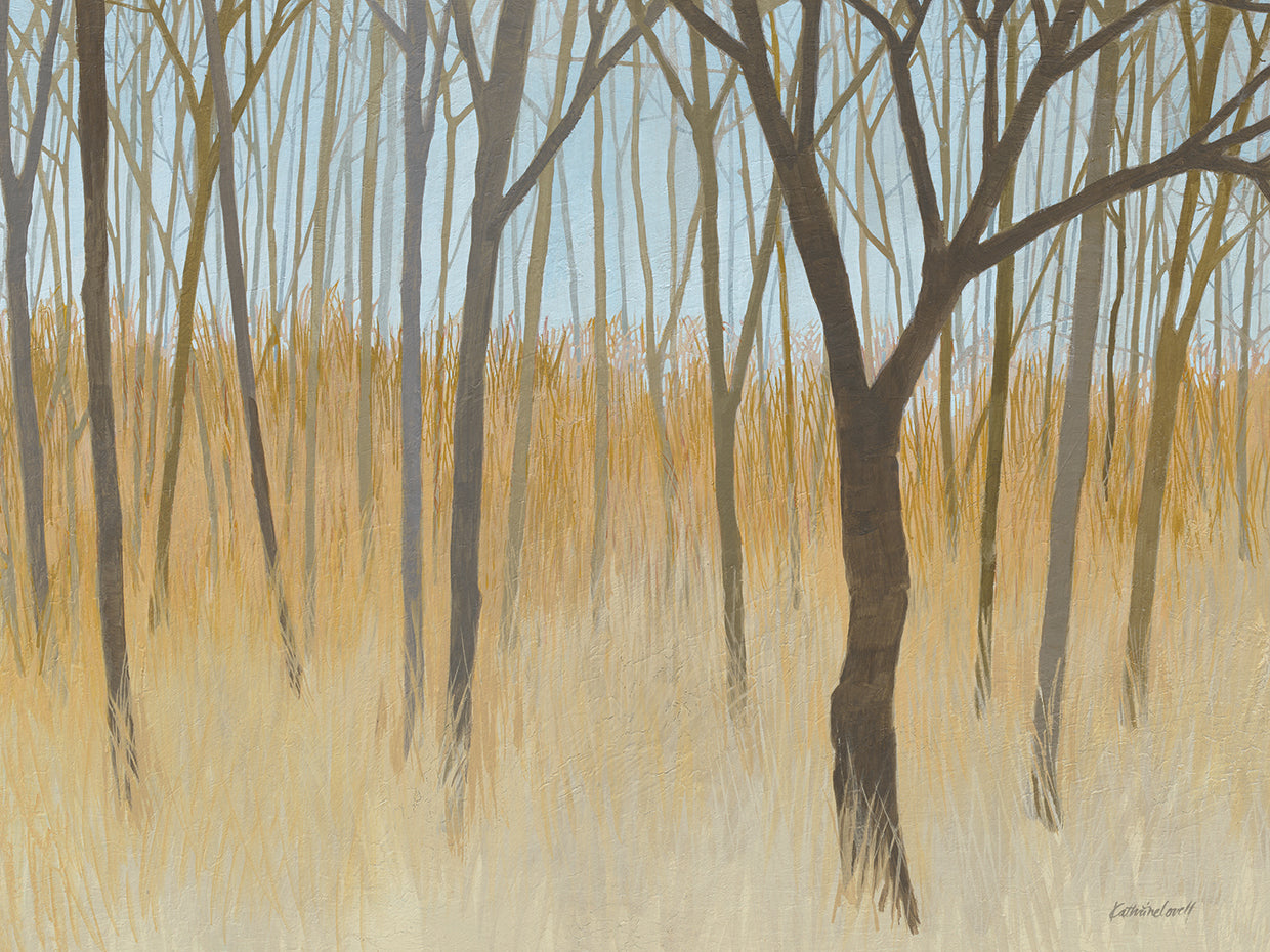 Misty Woods