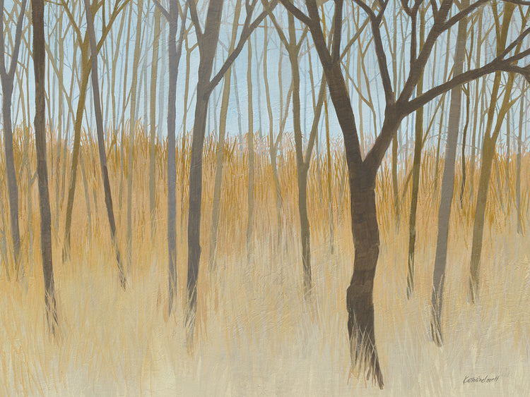 Arte de la lona de Misty Woods