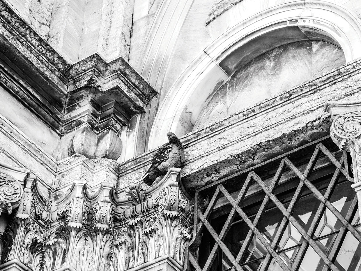Looking Up