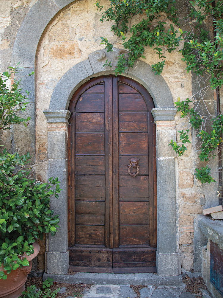 Venice Doorway