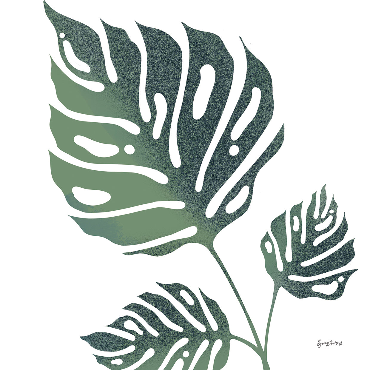 Monstera IV White