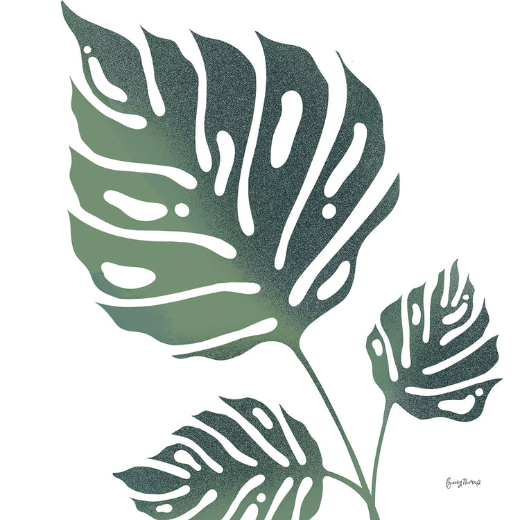 Monstera IV White