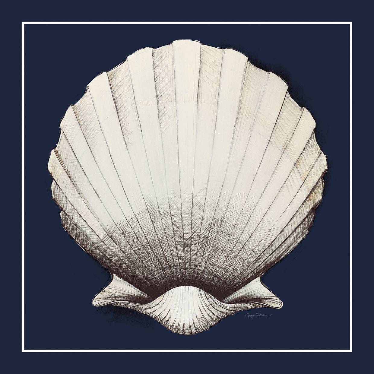 Lienzo Coastal Shell II con borde azul marino