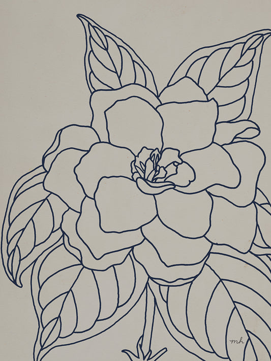Gardenia Line Drawing Gray Crop by Moira Hershey - museum quality wall art work on large canvas & framed canvas prints