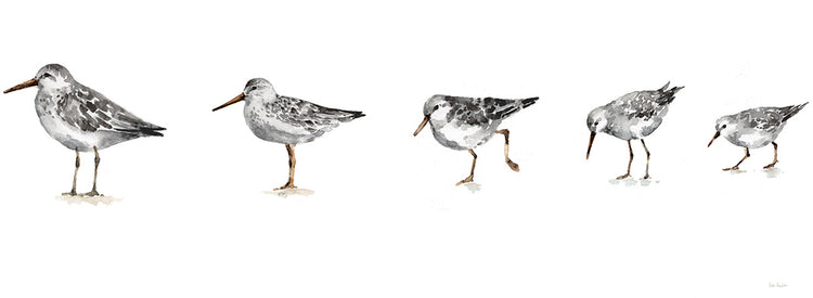Pebbles and Sandpipers IX Gray No Words Border