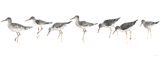 Sandpipers Panel Gray Canvas Art