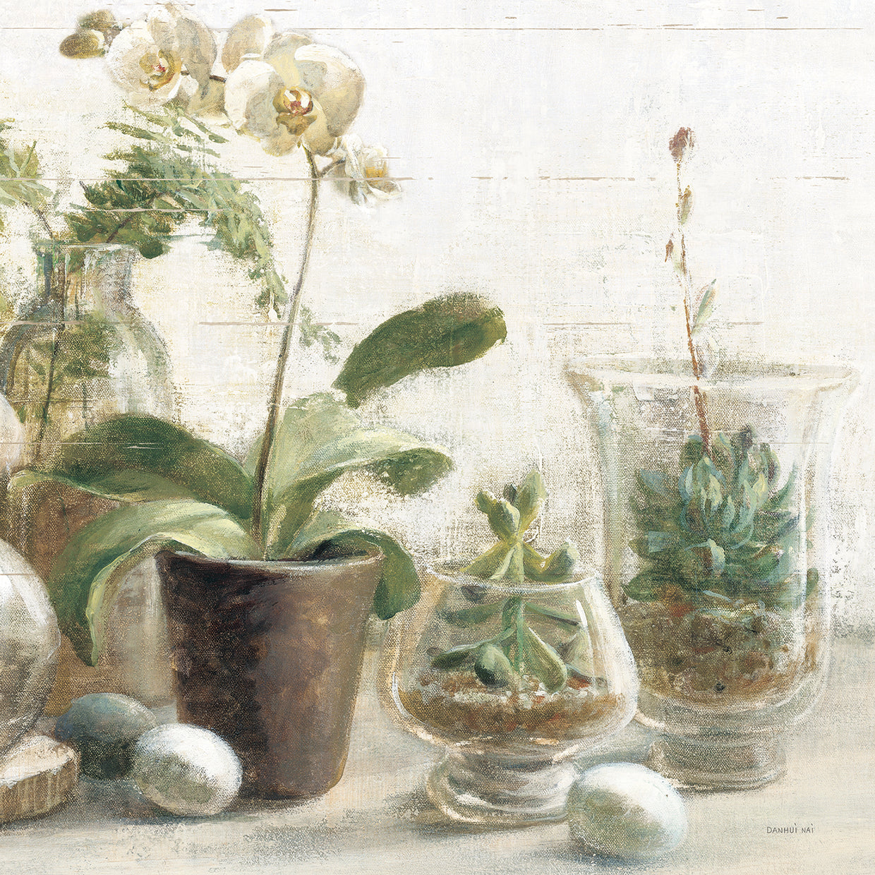 Greenhouse Orchids on Shiplap III by Danhui Nai - museum quality wall art work on large canvas & framed canvas prints