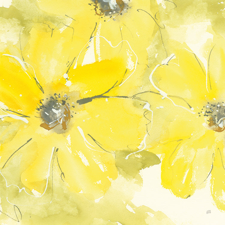Arte en lienzo Sunshine Cosmos II