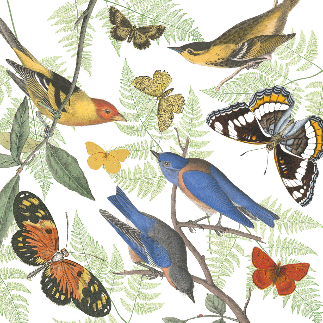 Natures Flight I