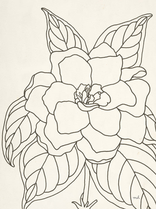 Gardenia Line Drawing Crop by Moira Hershey - best quality handcrafted wall art work on large canvas & framed canvas prints