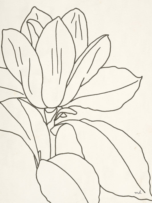 Magnolia Line Drawing Crop by Moira Hershey - museum quality wall art work on large canvas & framed canvas prints