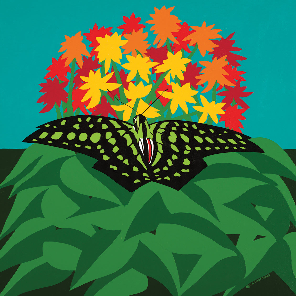 A Tailed Jay