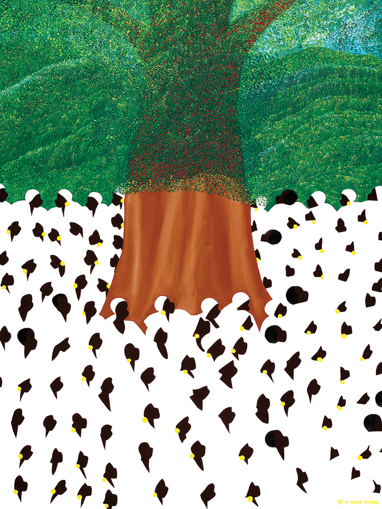 Souvenance The Sacred Mapou Trees