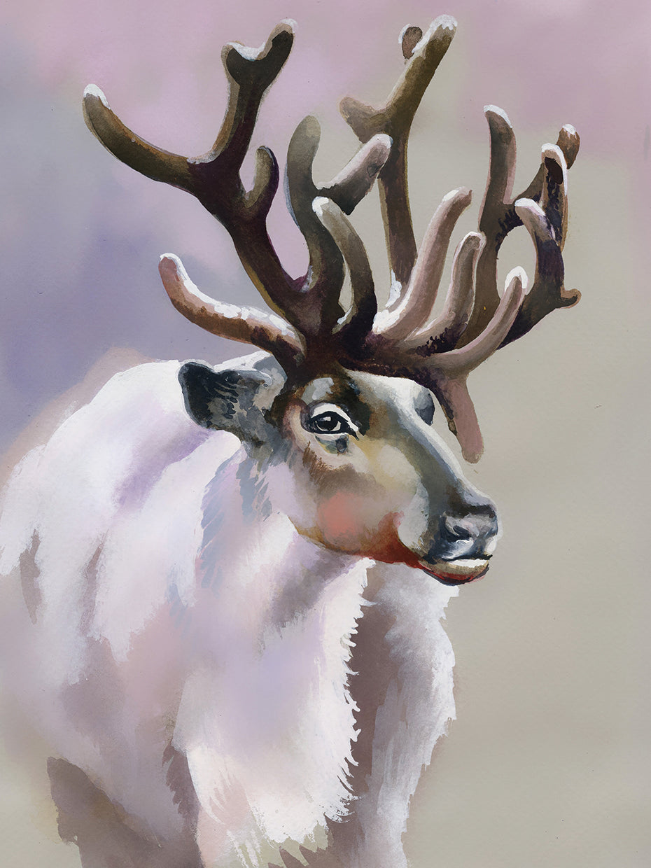 Winter Frost Reindeer