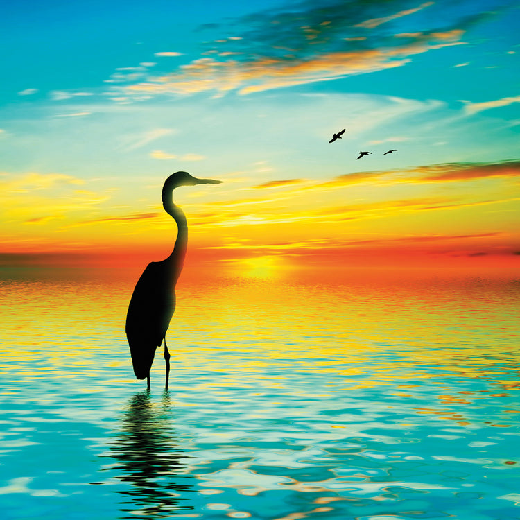 Golden Heron Sunset